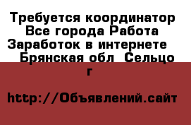 Требуется координатор - Все города Работа » Заработок в интернете   . Брянская обл.,Сельцо г.